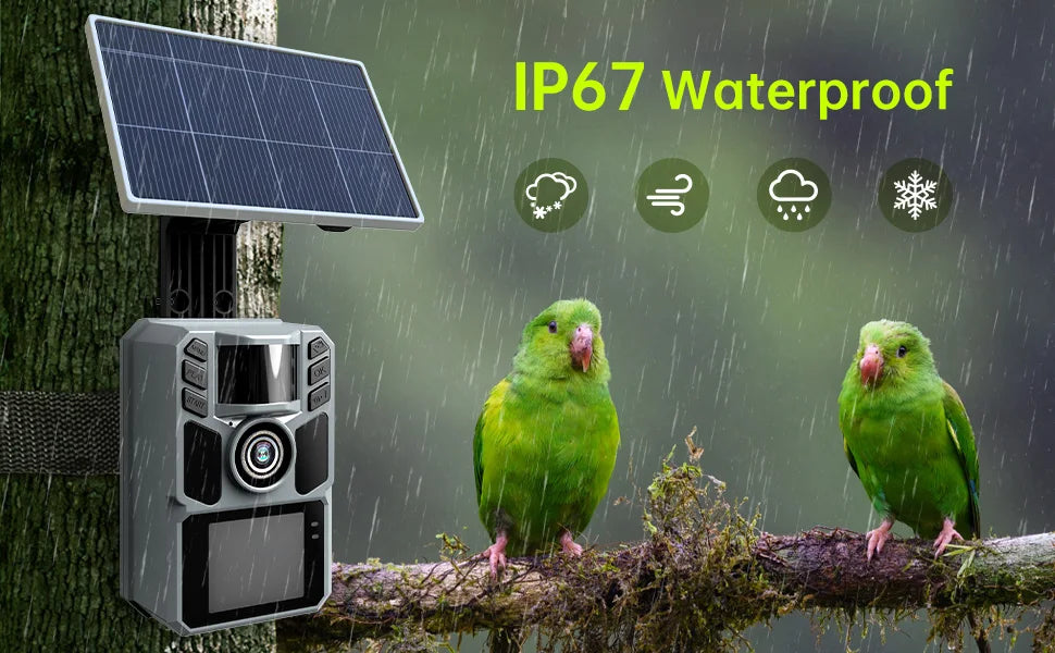 4K 64MP Solar Trail Camera with Night Vision – 0.2s Trigger