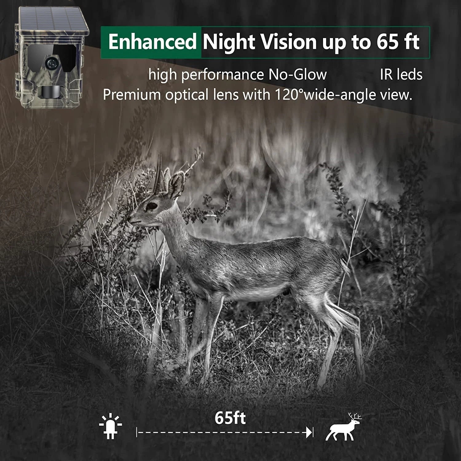 30MP 2K Solar Trail Camera with Infrared Night Vision