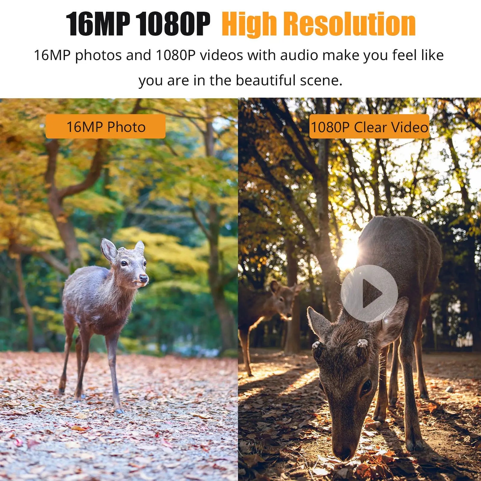 1080P 16MP Trail Camera with Night Vision & LCD Screen